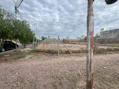 Barrio Viejo Tonel II 400