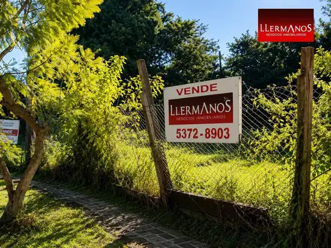 Venta San Isidro Lote de 500 m² Rodeado de Árboles
