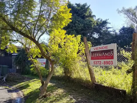 Venta San Isidro Lote de 500 m² Rodeado de Árboles