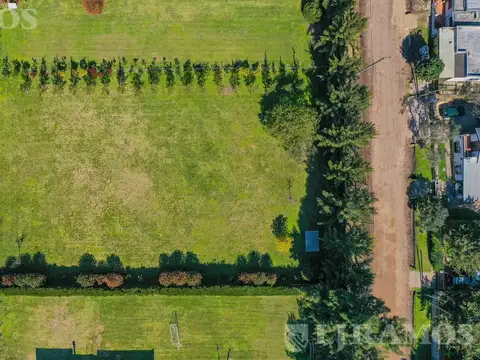 Lote Tortugas CC, Pilar