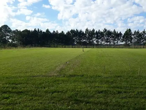 RUTA NACIONAL 16     Km 100