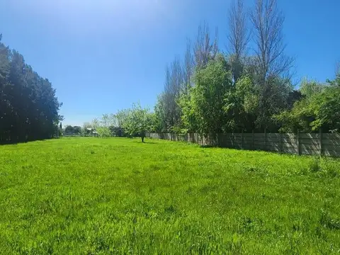 VENTA LOTE 3962 m/B. LAS LOMAS/SPEGAZZINI/FINANCIA