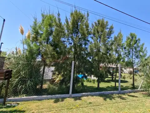 FELICITAS GUERRERO 100