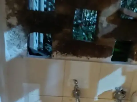 Departamento en Alquiler de 3 dormitorios