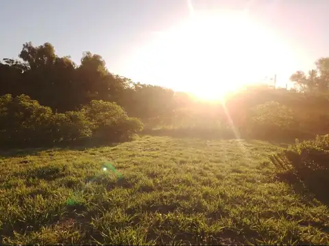 Amplio terreno de 269 m² con ingreso privado