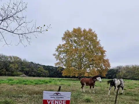 Chacra de 2 has, en inmejorable ubicación.!!