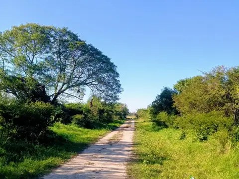 Calles lindantes: Juan Riela, Sabino Zabala, Pedro Panelati y Domingo Selva