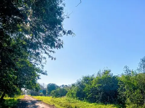 GRAN HECTÁREA CON 26 LOTES EN MARGARITA BELEN!