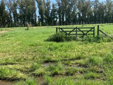 Terreno en Venta en Villa Ruiz, USD 19.000