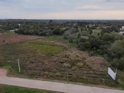 Fraccion sobre autovia Nicolas Avellaneda - 8800m2