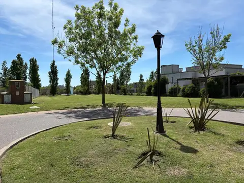 santa guadalupe pilar del este