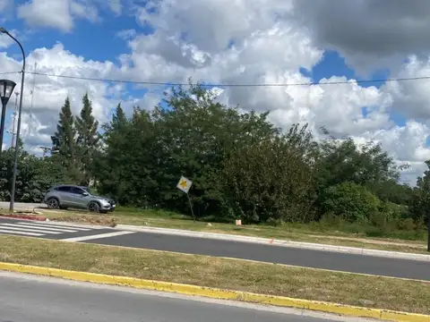 Importante Fracción en venta sobre Ruta 6