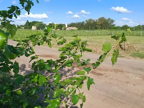 Venta Terreno / Lote Villa Espil