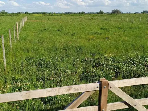 Terreno en Venta de 450,0 m2
