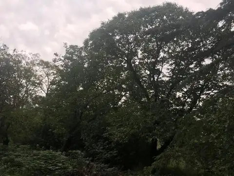 CLL. Venta campo de 32 hectáreas en Zarate. Proximo Estación Las Palmas, Puerto Panal