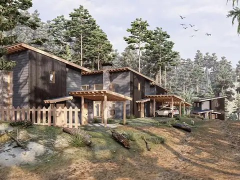 Camino del Condor IV