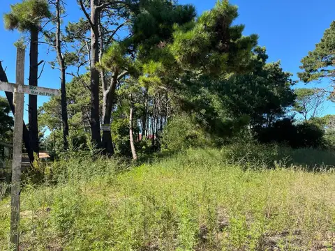 Terreno en Venta de 719,0 m2
