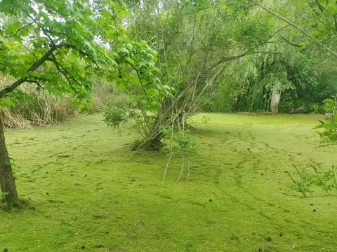 Casa 2 ambientes con 1 baño