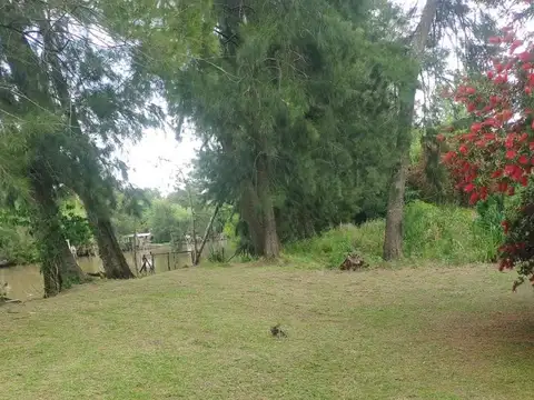 Arroyo Carapachay 530