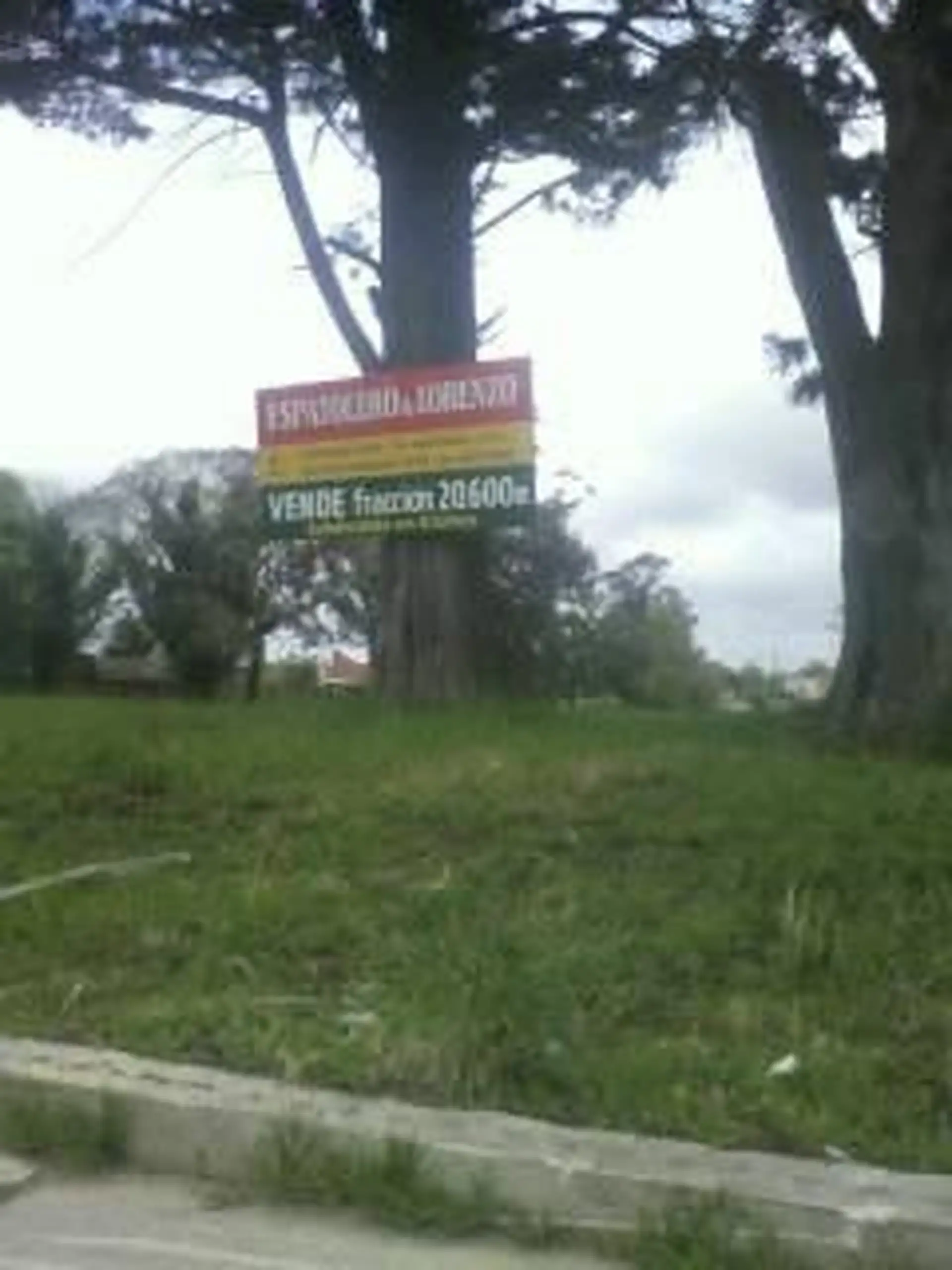 Lote sobre Av. Luro