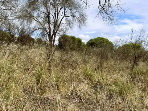 VENTA TERRENO PLANO EN COSQUIN 1450M2
