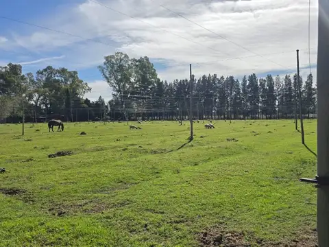 Terreno Campo  en Venta en Los Cardales, Exaltación de la Cruz, G.B.A. Zona Norte