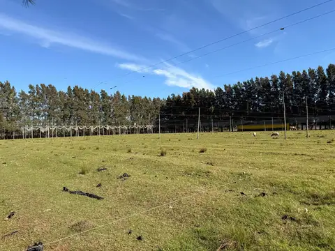 Terreno Campo  en Venta en Los Cardales, Exaltación de la Cruz, G.B.A. Zona Norte