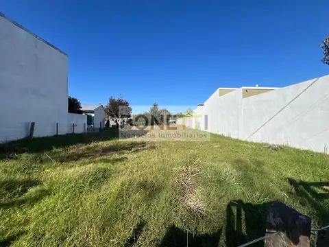 Terreno en Venta 12  mts Frente