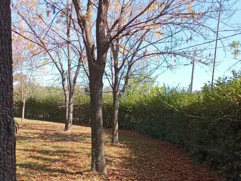 Terreno en Venta de 1599,0 m2