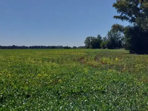 Terreno en Venta de 62700,0 m2
