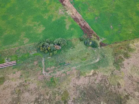 CAMPO EN VENTA 104 HECTAREASMIXTO CEPEDA