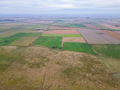 CAMPO EN VENTA 104 HECTAREASMIXTO CEPEDA