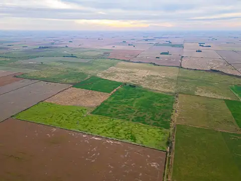 CAMPO EN VENTA 104 HECTAREASMIXTO CEPEDA