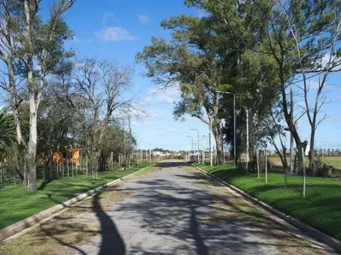 Monte Sauzalito