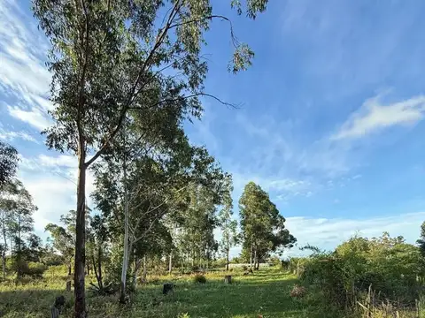 Terreno en Venta de 1000,0 m2