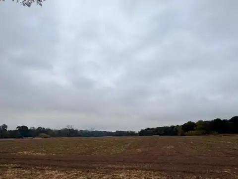 VENTA CAMPO CAMINO SAN CARLOS KM9