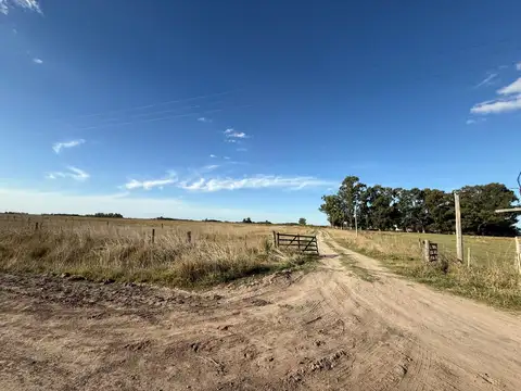 Campo en Venta Agrícola