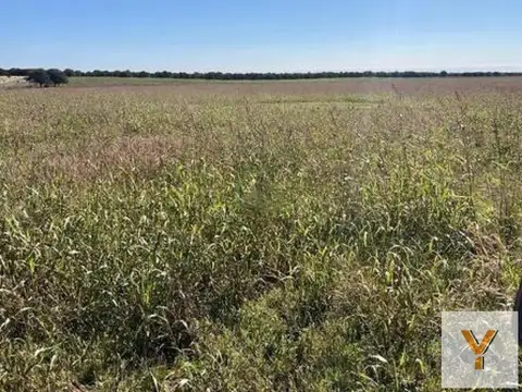 Campo en venta - 521 Hectáreas - La Pampa