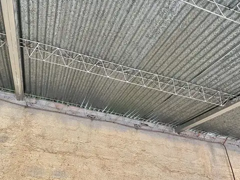 Galpon en Alquiler en Zona Este, USD 2.100