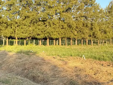 Terreno en Venta de 531,0 m2