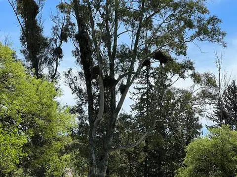 Terreno en Venta en Saldan, USD 790.000