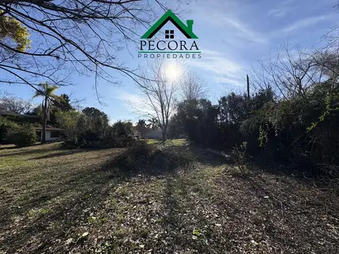 Terreno en Venta 40  mts Frente
