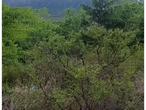 Oportunidad Terreno en venta en Bialet Masse