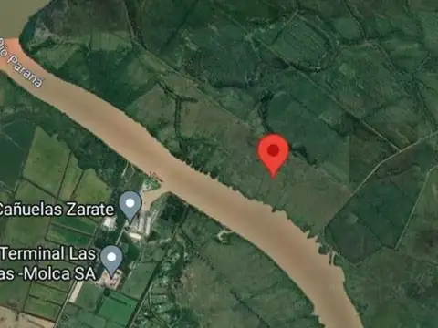 Rio / Arroyo Paraná de las Palmas Zarate 100