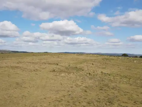 camino vecinal