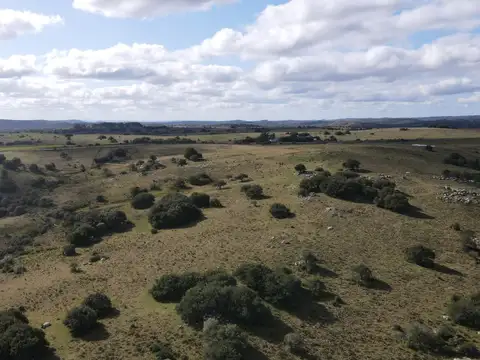 camino vecinal