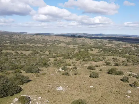 camino vecinal
