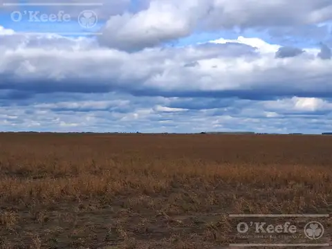 Campo en venta de 441 has Mixtas en General Villegas.