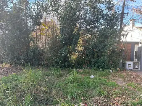 LOTE VENTA VILLA ELISA