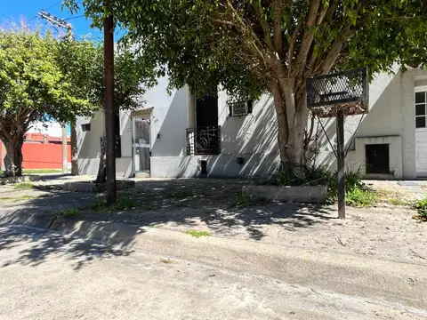 Brown 200